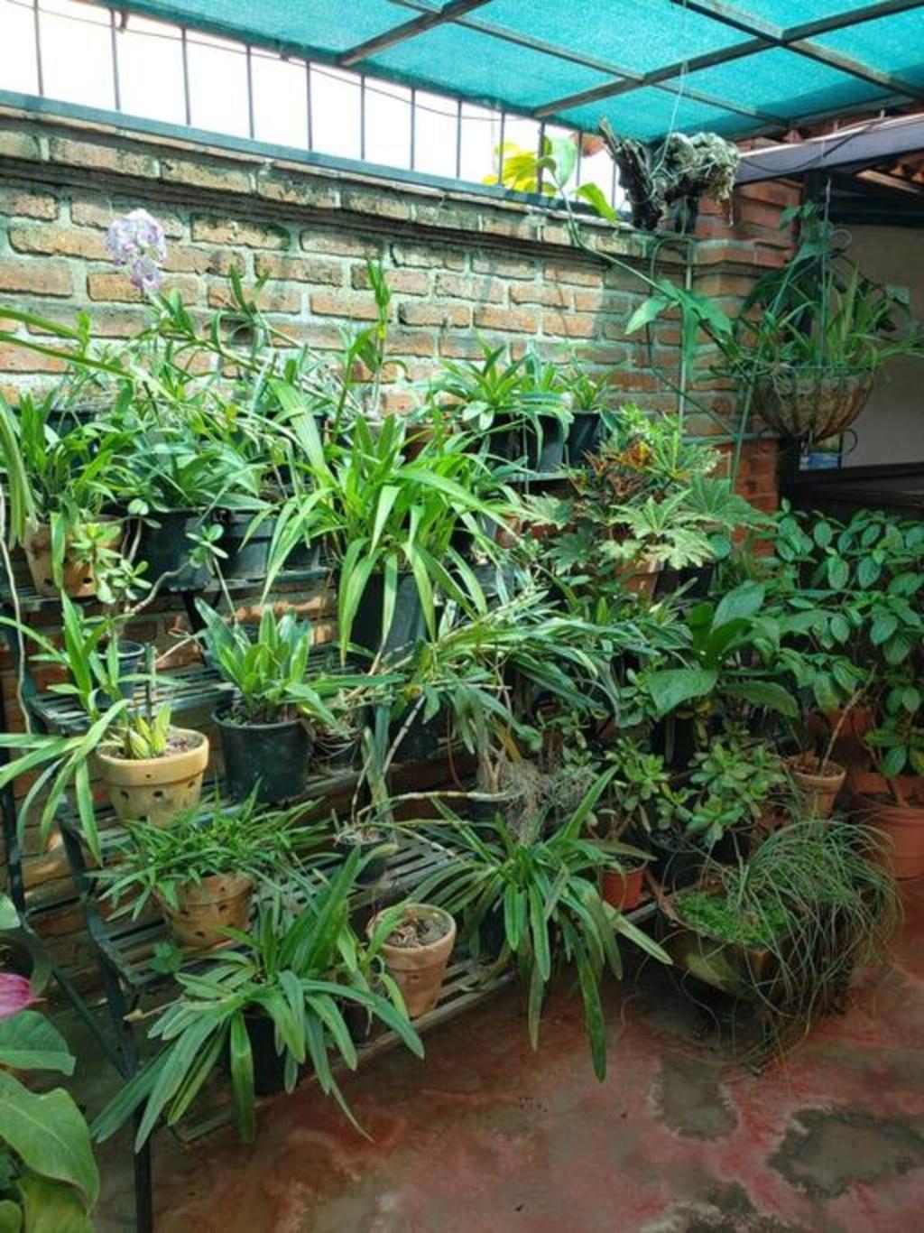 Enjoy Ac In Our Guest Room At Inn Ajijic Exterior photo